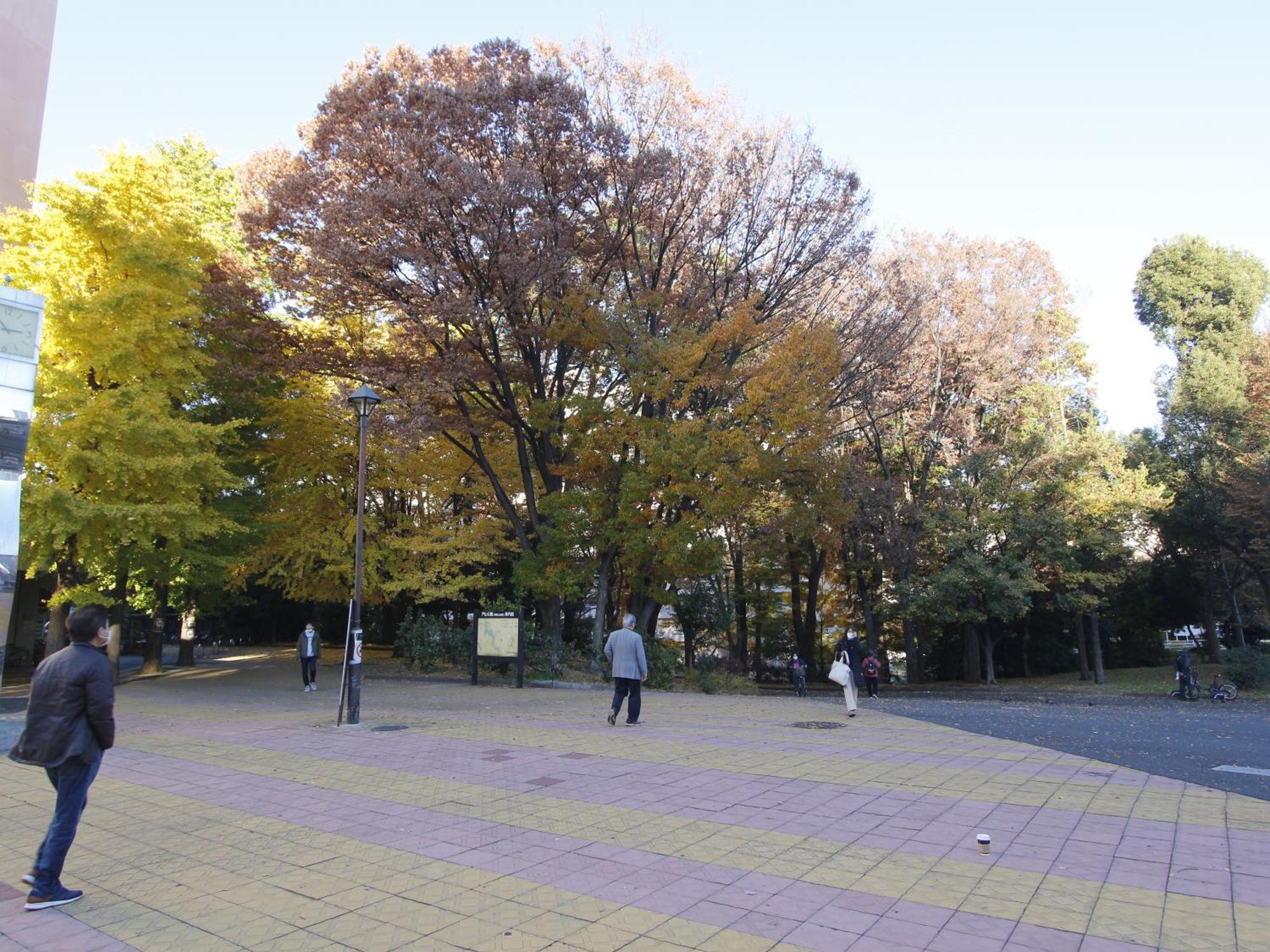 Appartamento 和貴ビル Tokyo Esterno foto