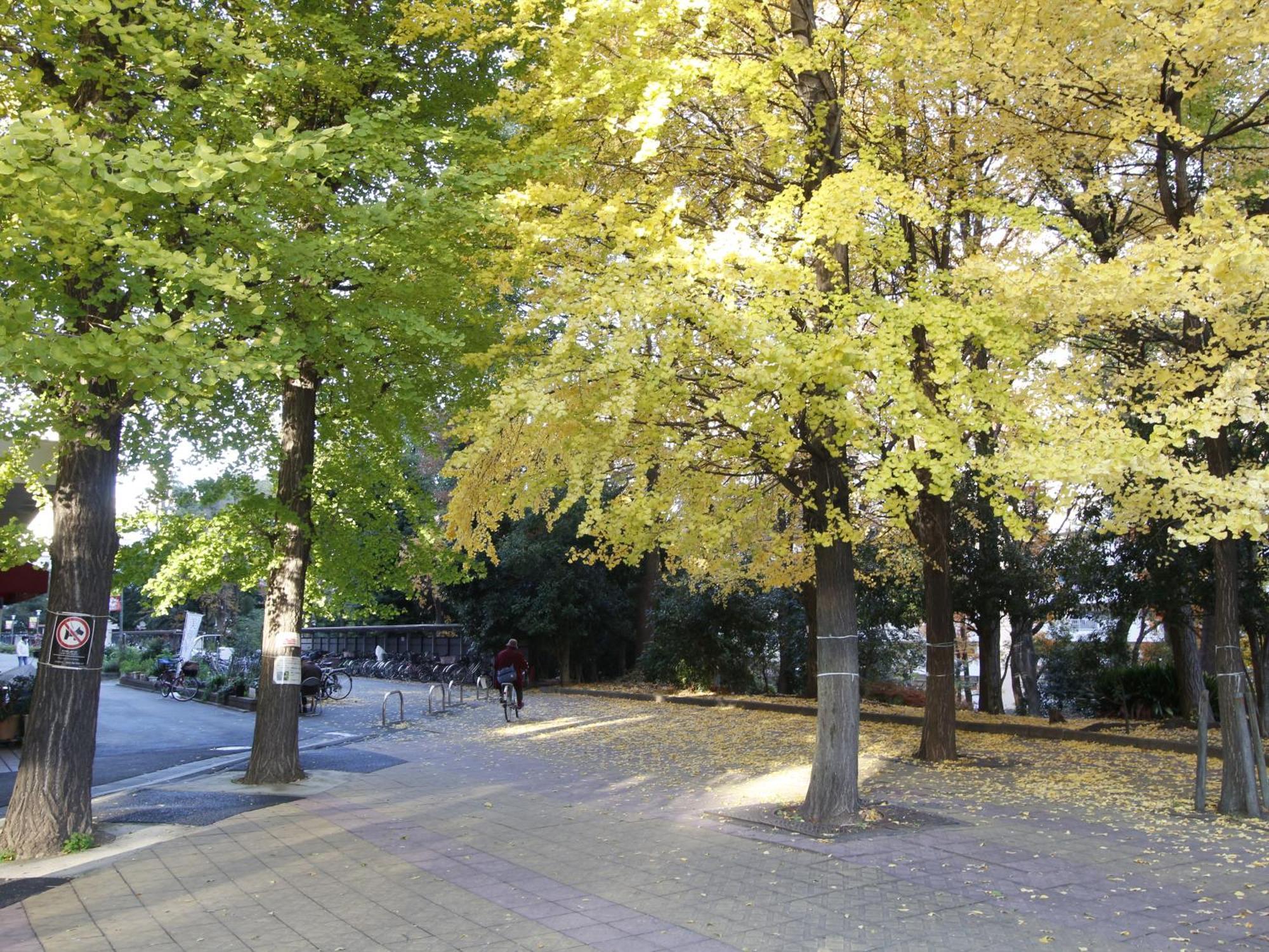 Appartamento 和貴ビル Tokyo Esterno foto